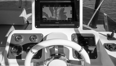 Rumble Bee For Sale image5