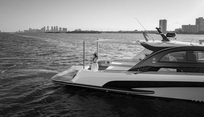 noname For Sale image6