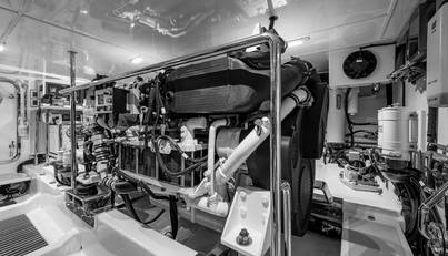 CARA MIA For Sale image51