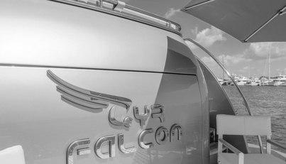 GYRFALCON For Sale image45