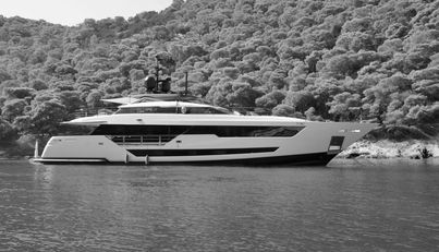 SODAN For Sale image32