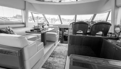 Enzo For Sale image23