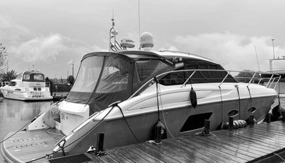 noname For Sale image1