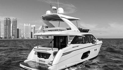 EMERALD For Sale image5