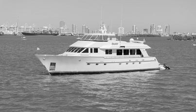 noname For Sale image2