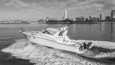 MISS MICHELLE For Sale image17