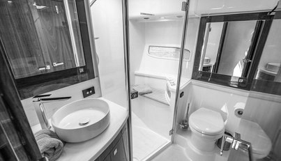 Bald Eagle For Sale image76