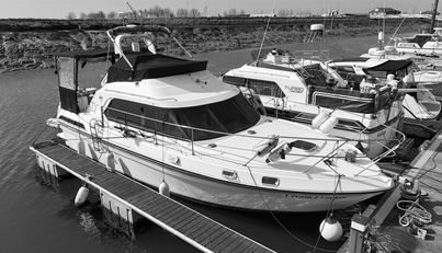 noname For Sale image1