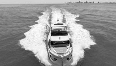 My Toy For Sale image2