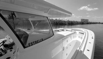 65 Estrella For Sale image28