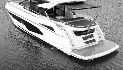 STINGRAY For Sale image3