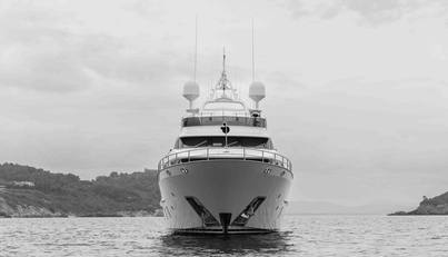 COCONUTS For Sale image26