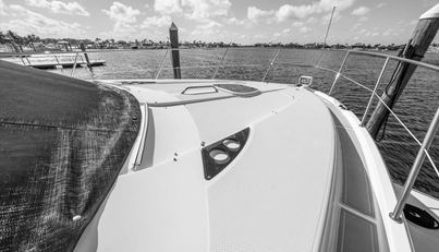 Gail’s Storm IV For Sale image88