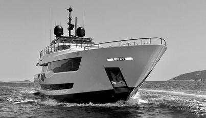SODAN For Sale image30