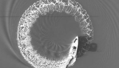 HAYLU For Sale image11