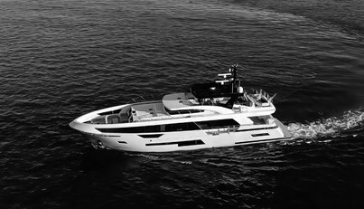 PAPILLON For Sale image31