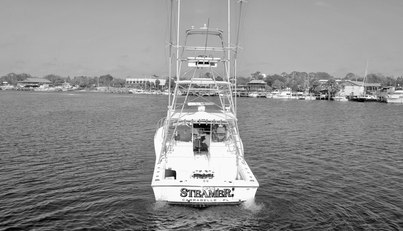 STEAMER For Sale image6