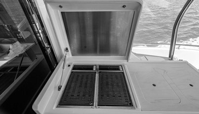 Bald Eagle For Sale image21