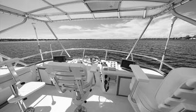 noname For Sale image19