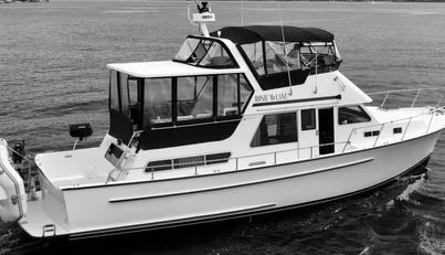Rosie McLane For Sale image2