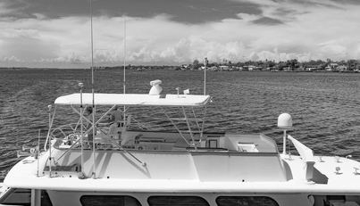 noname For Sale image81