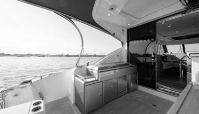 Greyhound For Sale image26