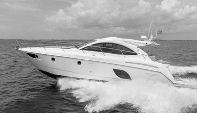 Perseverance For Sale image7