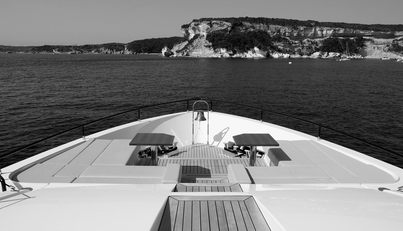 SODAN For Sale image27