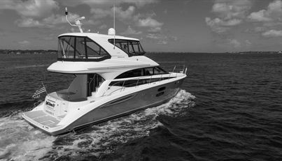 Gail’s Storm IV For Sale image101