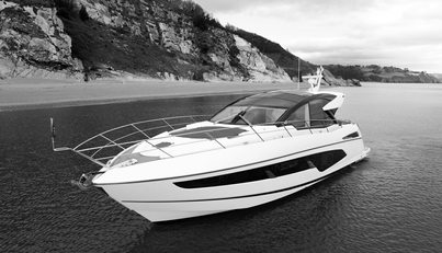 STINGRAY For Sale image8