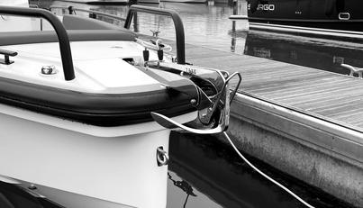 HAYLU For Sale image15