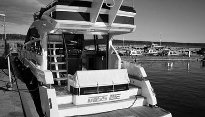 noname For Sale image57