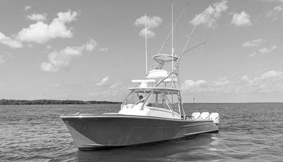 noname For Sale image1