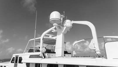 NEREUS For Sale image49