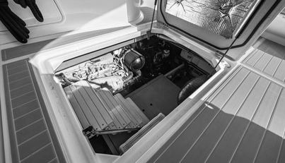 Gail’s Storm IV For Sale image92