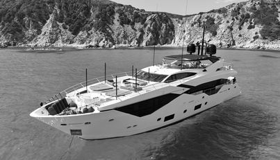 SURVIVOR 2 For Sale image36