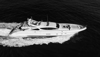 ROYALE X For Sale image1