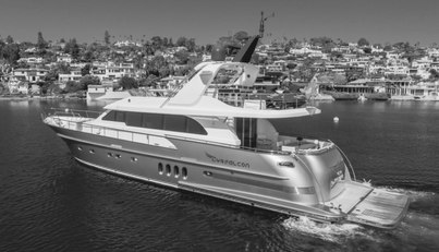 GYRFALCON For Sale image11