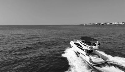 noname For Sale image9