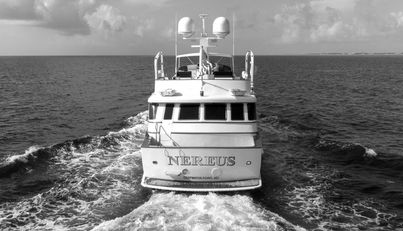 NEREUS For Sale image55