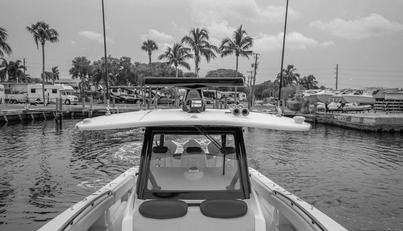 noname For Sale image34