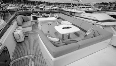 Enzo For Sale image99