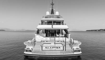 ALUNYA For Sale image21