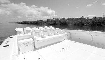 65 Estrella For Sale image6