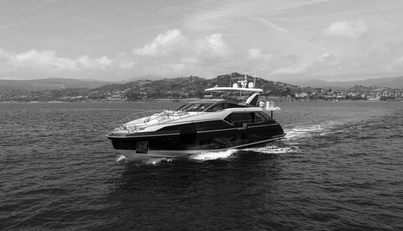 noname For Sale image4