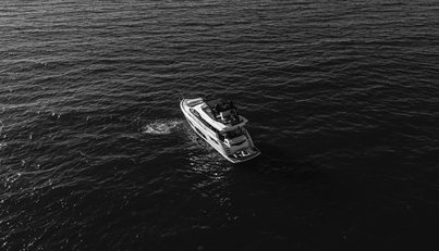 SNOWWHITE For Sale image10