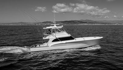 WILL RISE For Sale image2