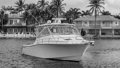 noname For Sale image2