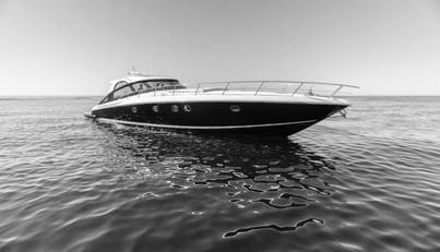 PARVINA For Sale image1