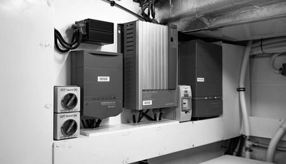 Bald Eagle For Sale image84